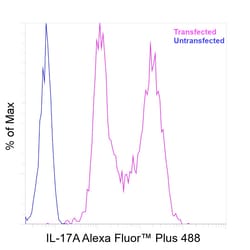 Invitrogen&trade;&nbsp;IL-17A Recombinant Mouse Monoclonal Antibody (eBio64CAP17), Alexa Fluor&trade; Plus 488