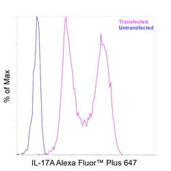 Invitrogen&trade;&nbsp;IL-17A Recombinant Mouse Monoclonal Antibody (eBio64CAP17), Alexa Fluor&trade; Plus 647