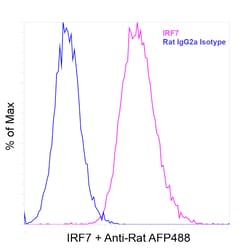 Invitrogen&trade;&nbsp;IRF7 Recombinant Rat Monoclonal Antibody (RDP4ND4)