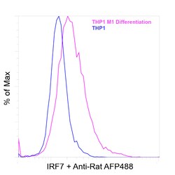 Invitrogen IRF7 Recombinant Rat Monoclonal Antibody (RDP4ND4) 20 &mu;L | Buy Online | Invitrogen&trade; | Fisher Scientific
