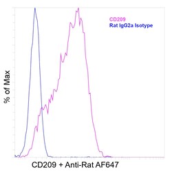 Invitrogen CD209 (DC-SIGN) Recombinant Rat Monoclonal Antibody (eB-h209) 20 &mu;L | Buy Online | Invitrogen&trade; | Fisher Scientific