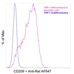 Invitrogen CD209 (DC-SIGN) Recombinant Rat Monoclonal Antibody (eB-h209) 20 &mu;L | Buy Online | Invitrogen&trade; | Fisher Scientific