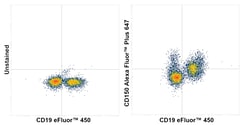 Invitrogen&trade;&nbsp;CD150 Recombinant Rat Monoclonal Antibody (mShad150), Alexa Fluor&trade; Plus 647