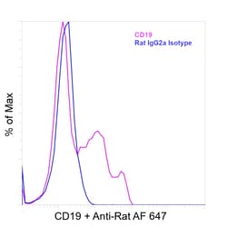 Invitrogen&trade;&nbsp;CD19 Recombinant Rat Monoclonal Antibody (6OMP31)