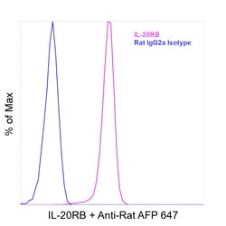 Invitrogen&trade;&nbsp;IL-20RB Recombinant Rat Monoclonal Antibody (20RNTC)
