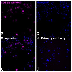 Invitrogen CD11b Recombinant Mouse Monoclonal Antibody (C67F154), Alexa Fluor Plus 647 50 &mu;L | Buy Online | Invitrogen&trade; | Fisher Scientific