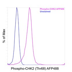 Invitrogen Phospho-CHK2 (Thr68) Recombinant Mouse Monoclonal Antibody (ebchk2), Alexa Fluor Plus 488 50 &mu;L | Buy Online | Invitrogen&trade; | Fisher Scientific