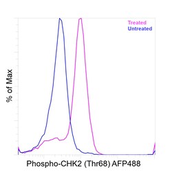 Invitrogen Phospho-CHK2 (Thr68) Recombinant Mouse Monoclonal Antibody (ebchk2), Alexa Fluor Plus 488 50 &mu;L | Buy Online | Invitrogen&trade; | Fisher Scientific