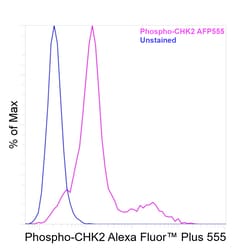 Invitrogen&trade;&nbsp;Phospho-CHK2 (Thr68) Recombinant Mouse Monoclonal Antibody (ebchk2), Alexa Fluor&trade; Plus 555