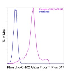 Invitrogen&trade;&nbsp;Phospho-CHK2 (Thr68) Recombinant Mouse Monoclonal Antibody (ebchk2), Alexa Fluor&trade; Plus 647