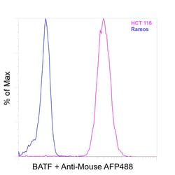 Invitrogen&trade;&nbsp;BATF Recombinant Mouse Monoclonal Antibody (MBM7C7)