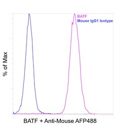 Invitrogen BATF Recombinant Mouse Monoclonal Antibody (MBM7C7) 100 &mu;L | Buy Online | Invitrogen&trade; | Fisher Scientific