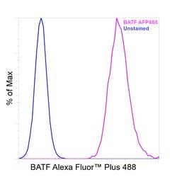 Invitrogen&trade;&nbsp;BATF Recombinant Mouse Monoclonal Antibody (MBM7C7), Alexa Fluor&trade; Plus 488
