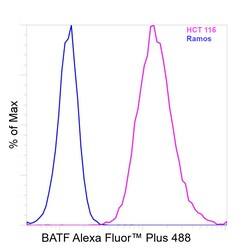 Invitrogen BATF Recombinant Mouse Monoclonal Antibody (MBM7C7), Alexa Fluor Plus 488 50 &mu;L | Buy Online | Invitrogen&trade; | Fisher Scientific
