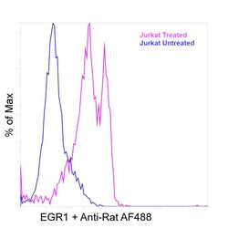 Invitrogen EGR1 Recombinant Rat Monoclonal Antibody (HEGR1DS) 100 &mu;L | Buy Online | Invitrogen&trade; | Fisher Scientific