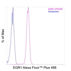 Invitrogen&trade;&nbsp;EGR1 Recombinant Rat Monoclonal Antibody (HEGR1DS), Alexa Fluor&trade; Plus 488
