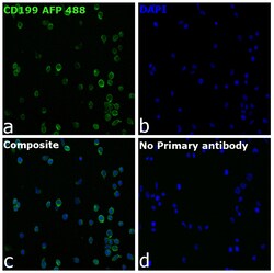 Invitrogen CD199 (CCR9) Recombinant Mouse Monoclonal Antibody (BBC3M4),