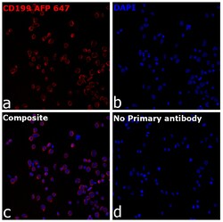 Invitrogen CD199 (CCR9) Recombinant Mouse Monoclonal Antibody (BBC3M4),