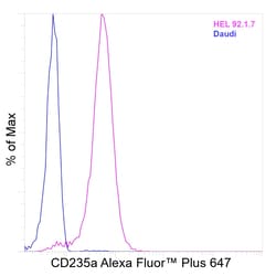 Invitrogen CD235a (Glycophorin A) Recombinant Mouse Monoclonal Antibody (HIR2 (GA-R2)), Alexa Fluor Plus 647 50 &mu;L | Buy Online | Invitrogen&trade; | Fisher Scientific