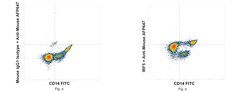 Invitrogen&trade;&nbsp;IRF5 Recombinant Mouse Monoclonal Antibody (ALYSCLN)