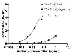 Invitrogen L-Thyroxine (T4) Recombinant Mouse Monoclonal Antibody (T4YCH) 100 &mu;L | Buy Online | Invitrogen&trade; | Fisher Scientific