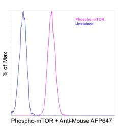 Invitrogen&trade;&nbsp;Phospho-mTOR (Ser2448) Recombinant Mouse Monoclonal Antibody (MRRBY)