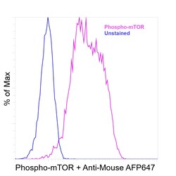 Invitrogen&trade;&nbsp;Phospho-mTOR (Ser2448) Recombinant Mouse Monoclonal Antibody (MRRBY)