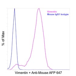 Invitrogen&trade;&nbsp;Vimentin Recombinant Mouse Monoclonal Antibody (V9)