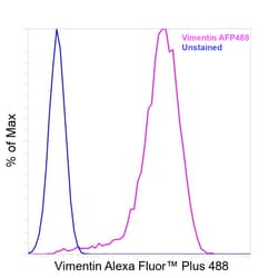 Invitrogen&trade;&nbsp;Vimentin Recombinant Mouse Monoclonal Antibody (V9), Alexa Fluor&trade; Plus 488