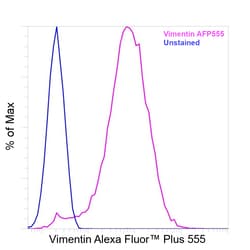Invitrogen&trade;&nbsp;Vimentin Recombinant Mouse Monoclonal Antibody (V9), Alexa Fluor&trade; Plus 555