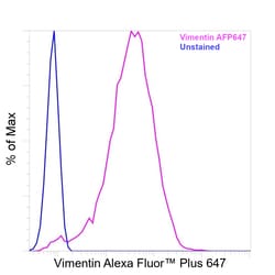 Invitrogen&trade;&nbsp;Vimentin Recombinant Mouse Monoclonal Antibody (V9), Alexa Fluor&trade; Plus 647