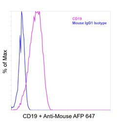 Invitrogen&trade;&nbsp;CD19 Recombinant Mouse Monoclonal Antibody (HIB19)