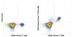 Invitrogen&trade;&nbsp;CD19 Recombinant Mouse Monoclonal Antibody (HIB19), Alexa Fluor&trade; Plus 488