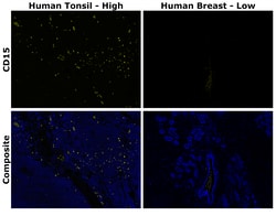 Invitrogen CD15 Monoclonal Antibody (MMA), Alexa Fluor 514 500 &mu;L; Alexa