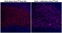 Invitrogen CD15 Monoclonal Antibody (MMA), Alexa Fluor Plus 594 500 &mu;L;