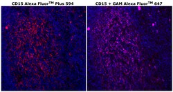 Invitrogen CD15 Monoclonal Antibody (MMA), Alexa Fluor Plus 594 500 &mu;L;