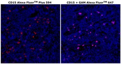 Invitrogen CD15 Monoclonal Antibody (MMA), Alexa Fluor Plus 594 500 &mu;L;
