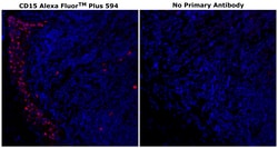 Invitrogen CD15 Monoclonal Antibody (MMA), Alexa Fluor Plus 594 500 &mu;L;