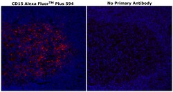 Invitrogen CD15 Monoclonal Antibody (MMA), Alexa Fluor Plus 594 500 &mu;L;