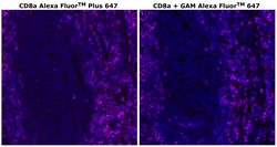 CD8 alpha Monoclonal Antibody (C8/144B), Alexa Fluor&trade; Plus 647, Invitrogen&trade;