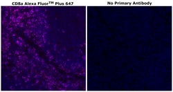CD8 alpha Monoclonal Antibody (C8/144B), Alexa Fluor&trade; Plus 647, Invitrogen&trade;