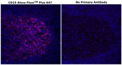 Invitrogen CD15 Monoclonal Antibody (MMA), Alexa Fluor Plus 647 500 &mu;L;