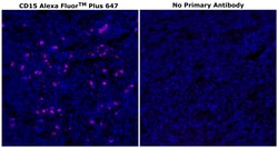 Invitrogen CD15 Monoclonal Antibody (MMA), Alexa Fluor Plus 647 500 &mu;L;