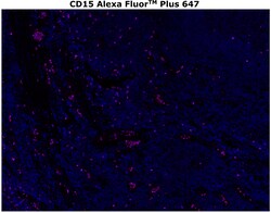 Invitrogen CD15 Monoclonal Antibody (MMA), Alexa Fluor Plus 647 500 &mu;L;