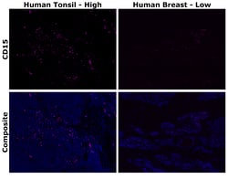 Invitrogen CD15 Monoclonal Antibody (MMA), Alexa Fluor Plus 647 500 &mu;L;