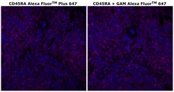 Invitrogen&trade;&nbsp;CD45RA Monoclonal Antibody (HI100), Alexa Fluor&trade; Plus 647