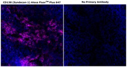 Invitrogen&trade;&nbsp;CD138 Monoclonal Antibody (MI15), Alexa Fluor&trade; Plus 647