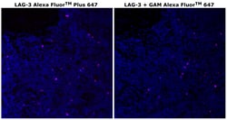 Invitrogen&trade;&nbsp;CD223 (LAG-3) Monoclonal Antibody (3DS223H), Alexa Fluor&trade; Plus 647