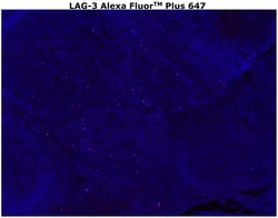 Invitrogen&trade;&nbsp;CD223 (LAG-3) Monoclonal Antibody (3DS223H), Alexa Fluor&trade; Plus 647
