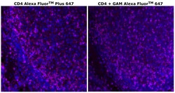 Invitrogen™ CD4 Monoclonal Antibody (N1UG0), Alexa Fluor™ Plus 647